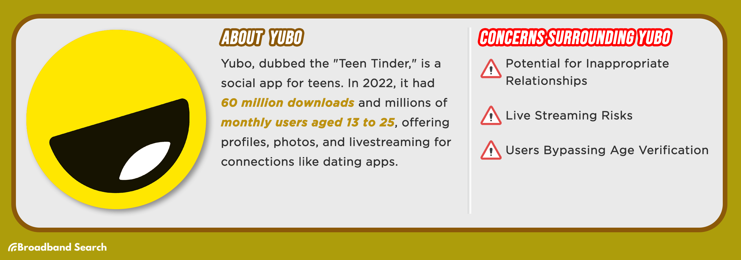 Statistics on Yubo and concerns surrounding usage of the social media app