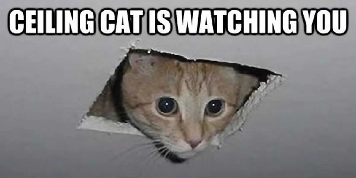 Ceiling Cat Meme