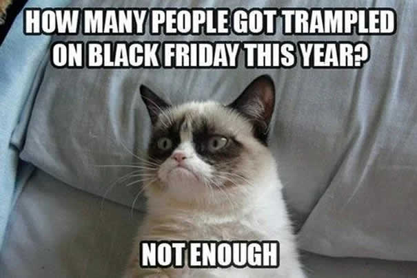 Grumpy Cat Meme